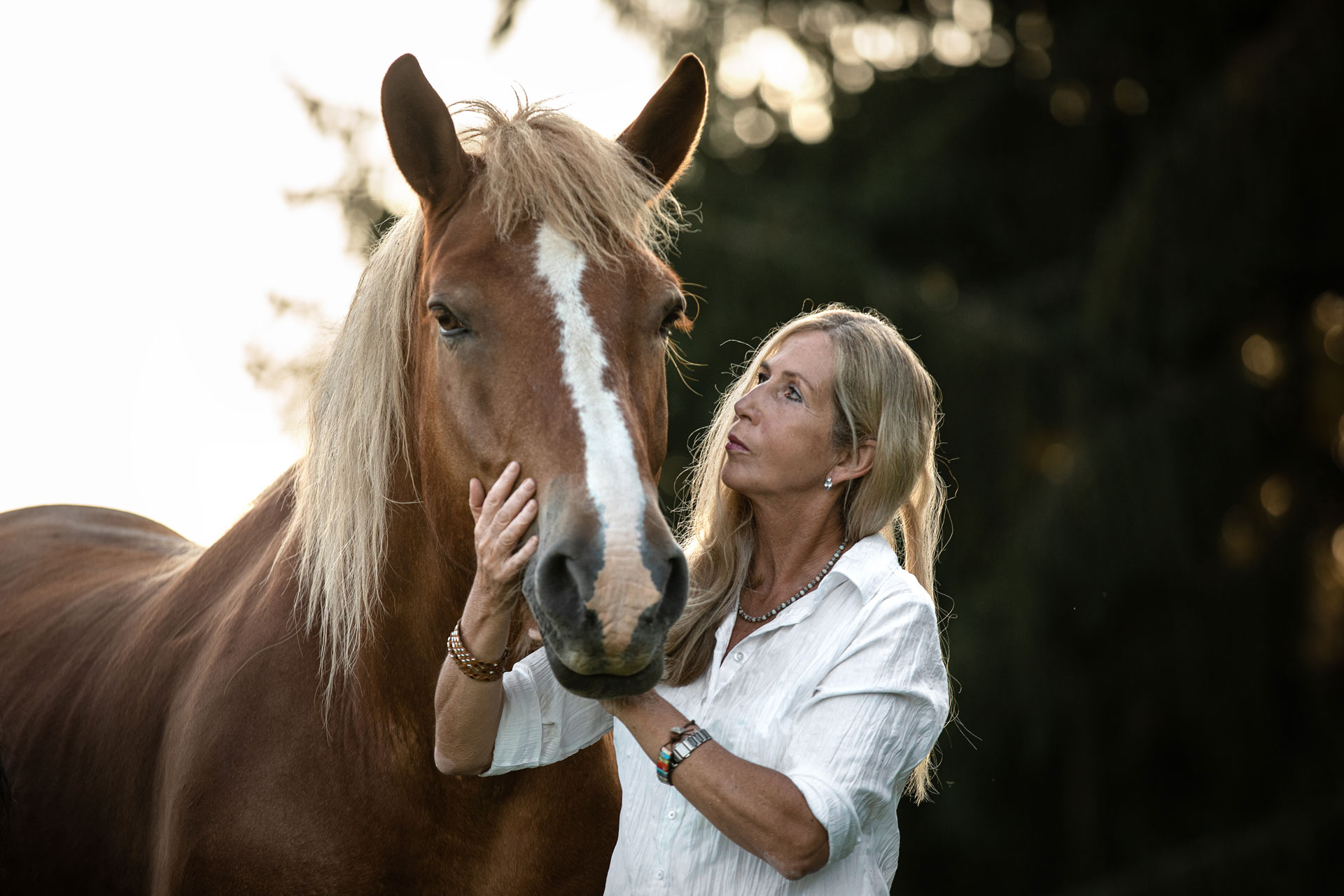 Frau Kuschelt mit ihrem Kaltblut Pferd auf der Weide im Sonnenuntergang. Das Foto ist bei einem Tierfotoshooting in Wiesbaden entstanden.