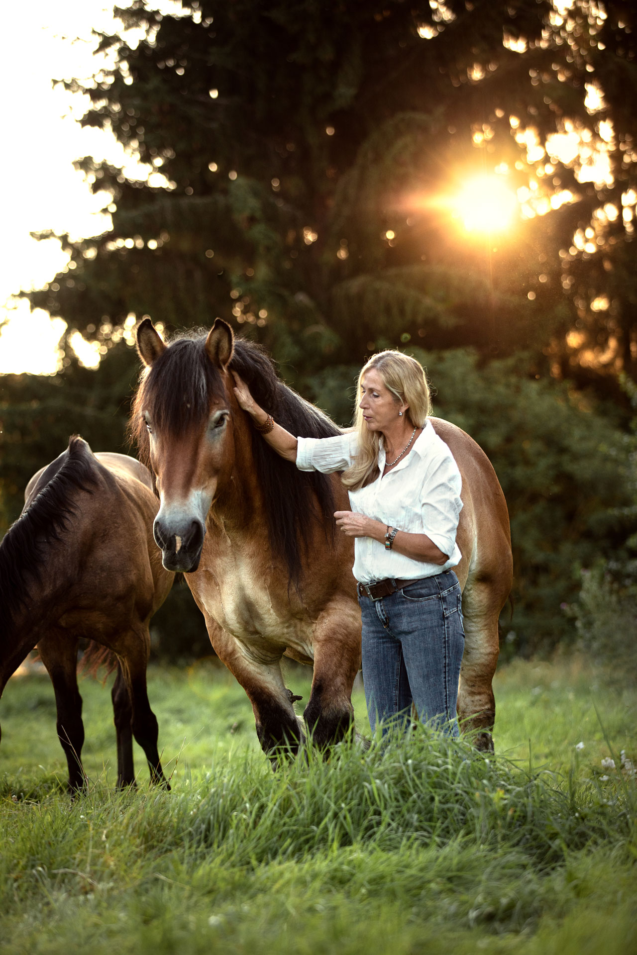 Frau Kuschelt mit ihrem Kaltblut Pferd auf der Weide im Sonnenuntergang. Das Foto ist bei einem Tier -Mensch-fotoshooting in Limburg entstanden.