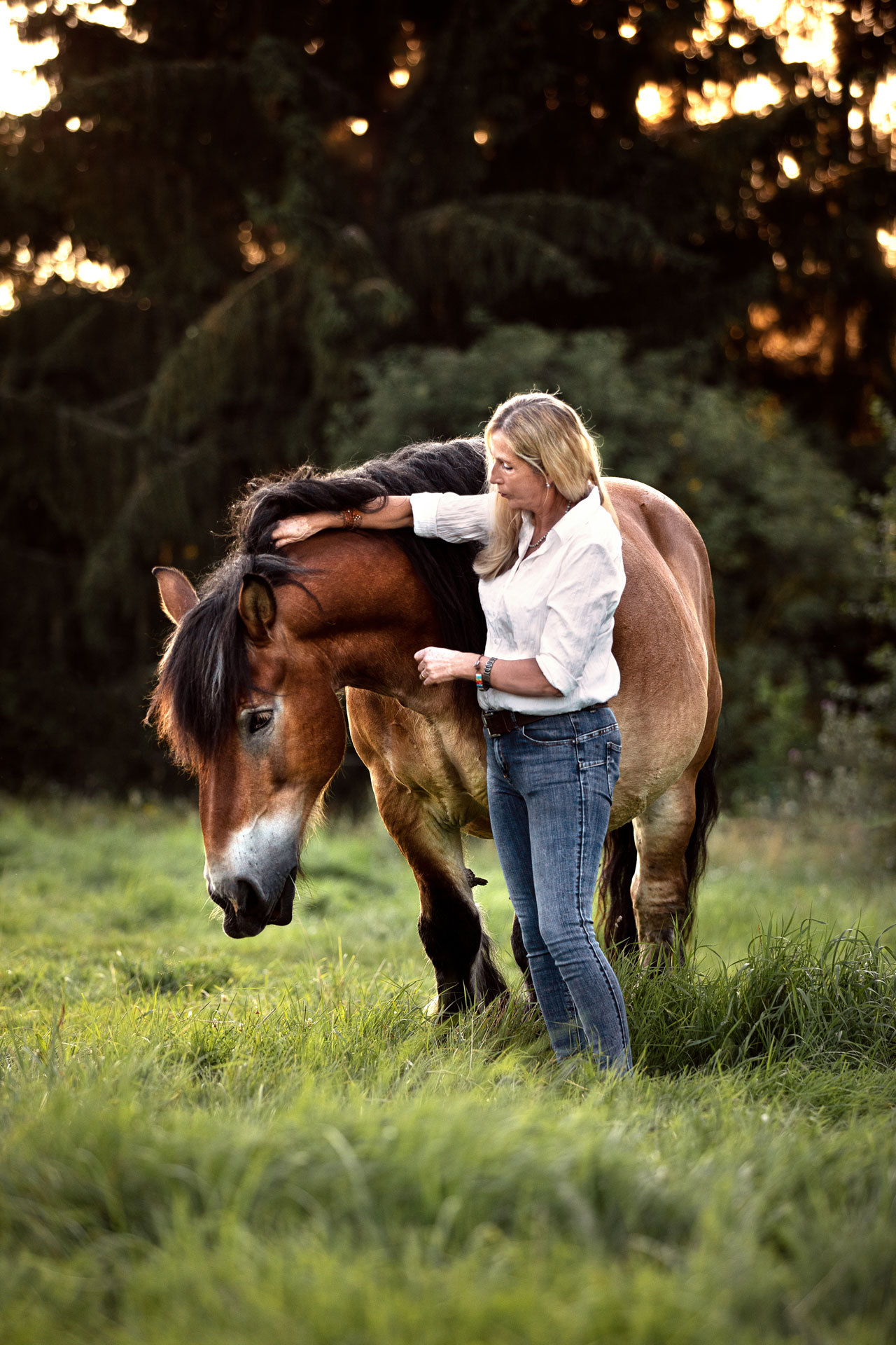 Frau Kuschelt mit ihrem Kaltblut Pferd auf der Weide im Sonnenuntergang. Das Foto ist bei einem Tierfotoshooting in Katzenelnbogen entstanden.