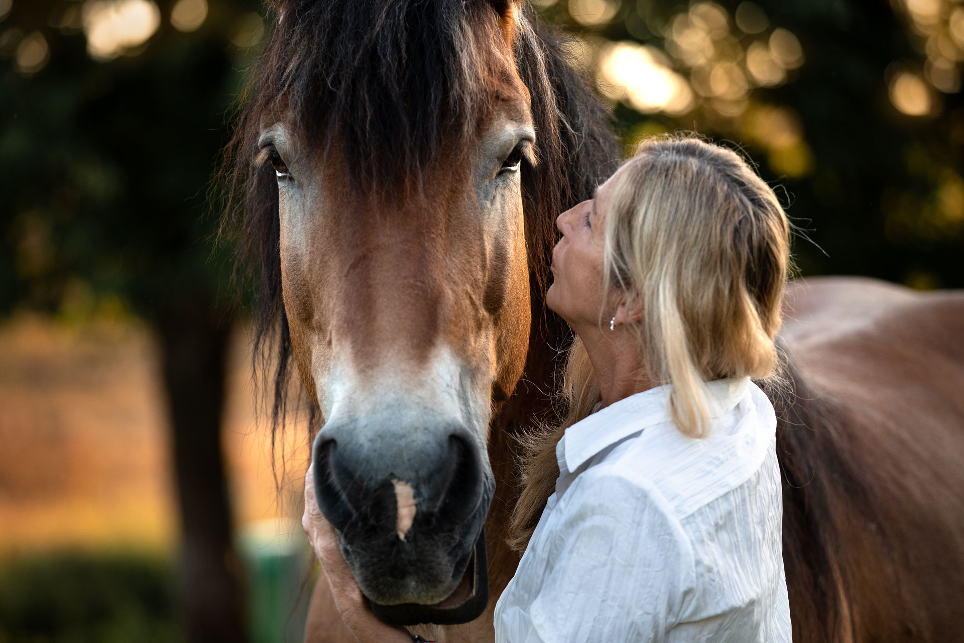 Auf diesem Portrait kuschelt eine Frau mit ihrem Kaltblut Pferd auf der Weide im Sonnenuntergang. Das Foto ist bei einem Pferdefotoshooting in Diez entstanden.