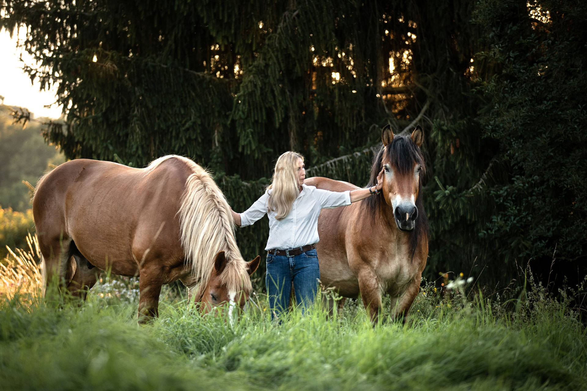 Frau Kuschelt mit ihrem Kaltblut Pferd auf der Weide im Sonnenuntergang. Pferd Mensch Fotografie in Limburg-Weilburg entstanden.