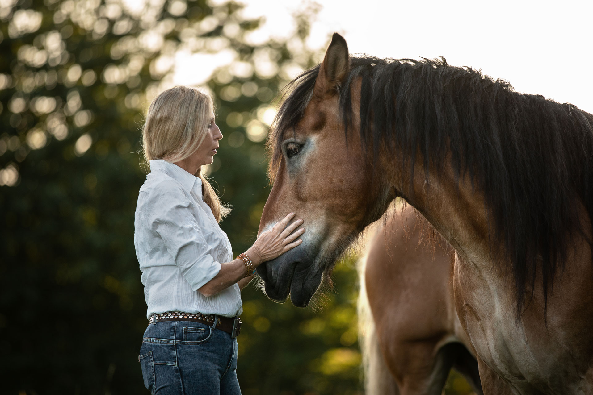 Frau Kuschelt mit ihrem Kaltblut Pferd auf der Weide im Sonnenuntergang. Das Foto ist bei einem Pferd Mensch Fotoshooting in Idstein entstanden.