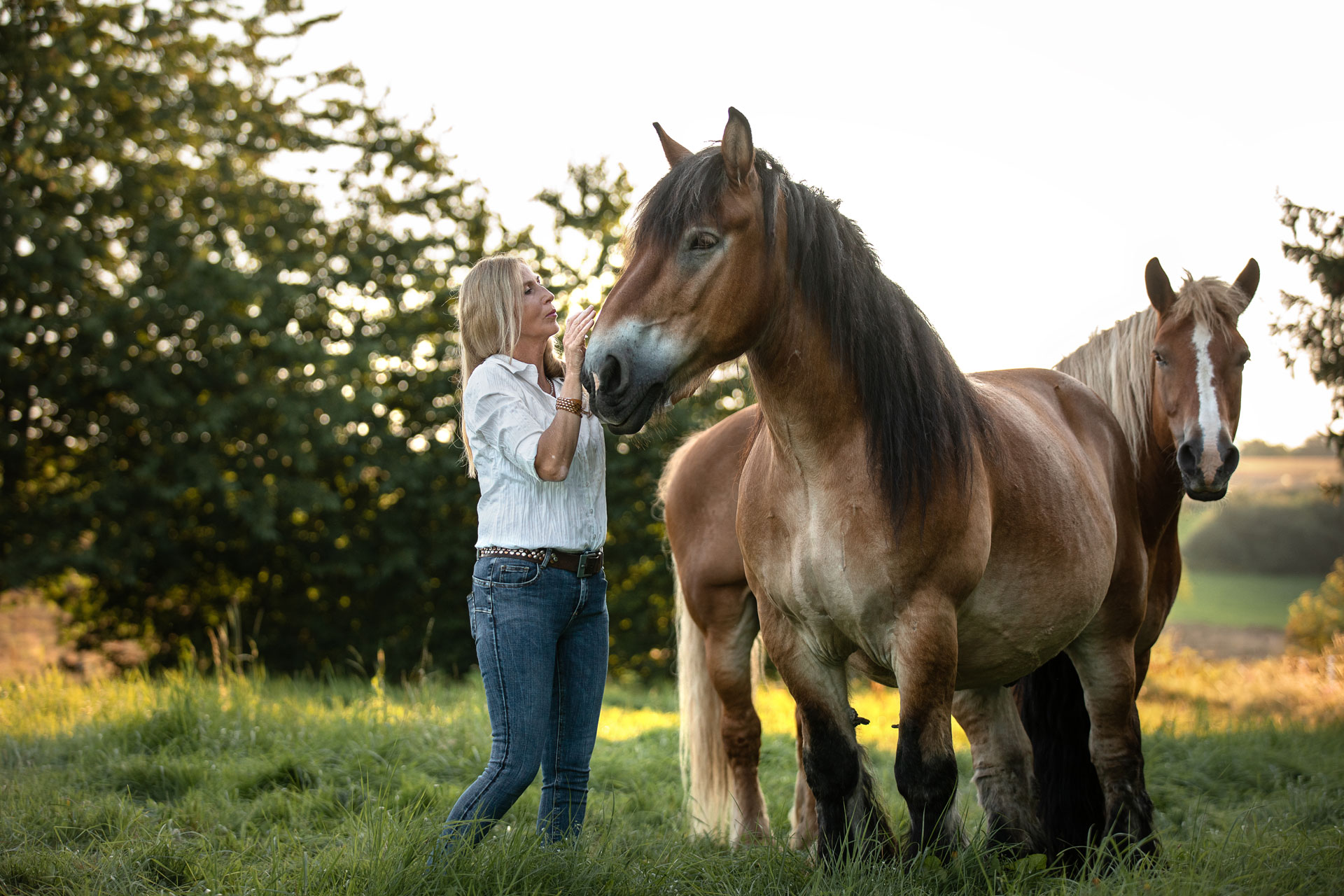 Frau Kuschelt mit ihrem Kaltblut Pferd auf der Weide im Sonnenuntergang. Das Foto ist bei einem Pferd-Mensch-Fotoshooting in Montabaur entstanden.