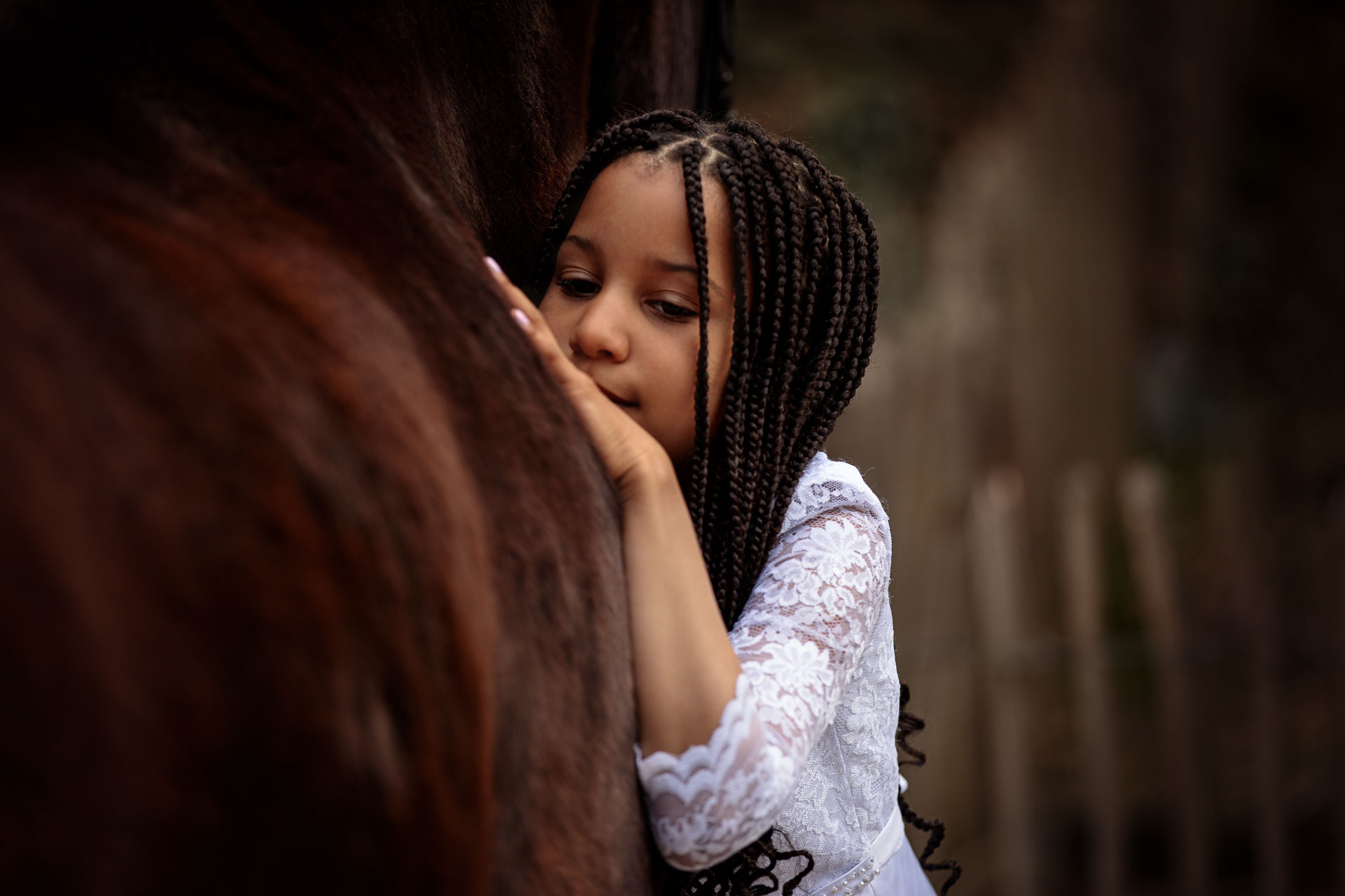 emotionale-pferdefotografie-taunus