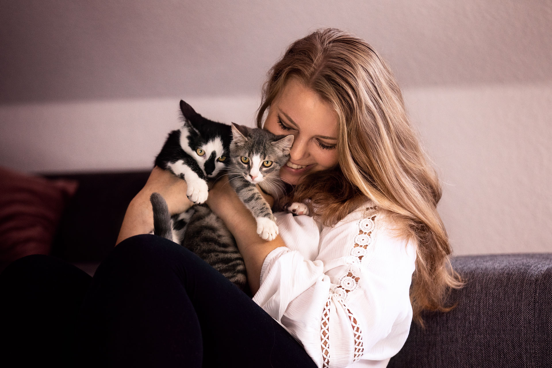 katzenshooting-frankfurt