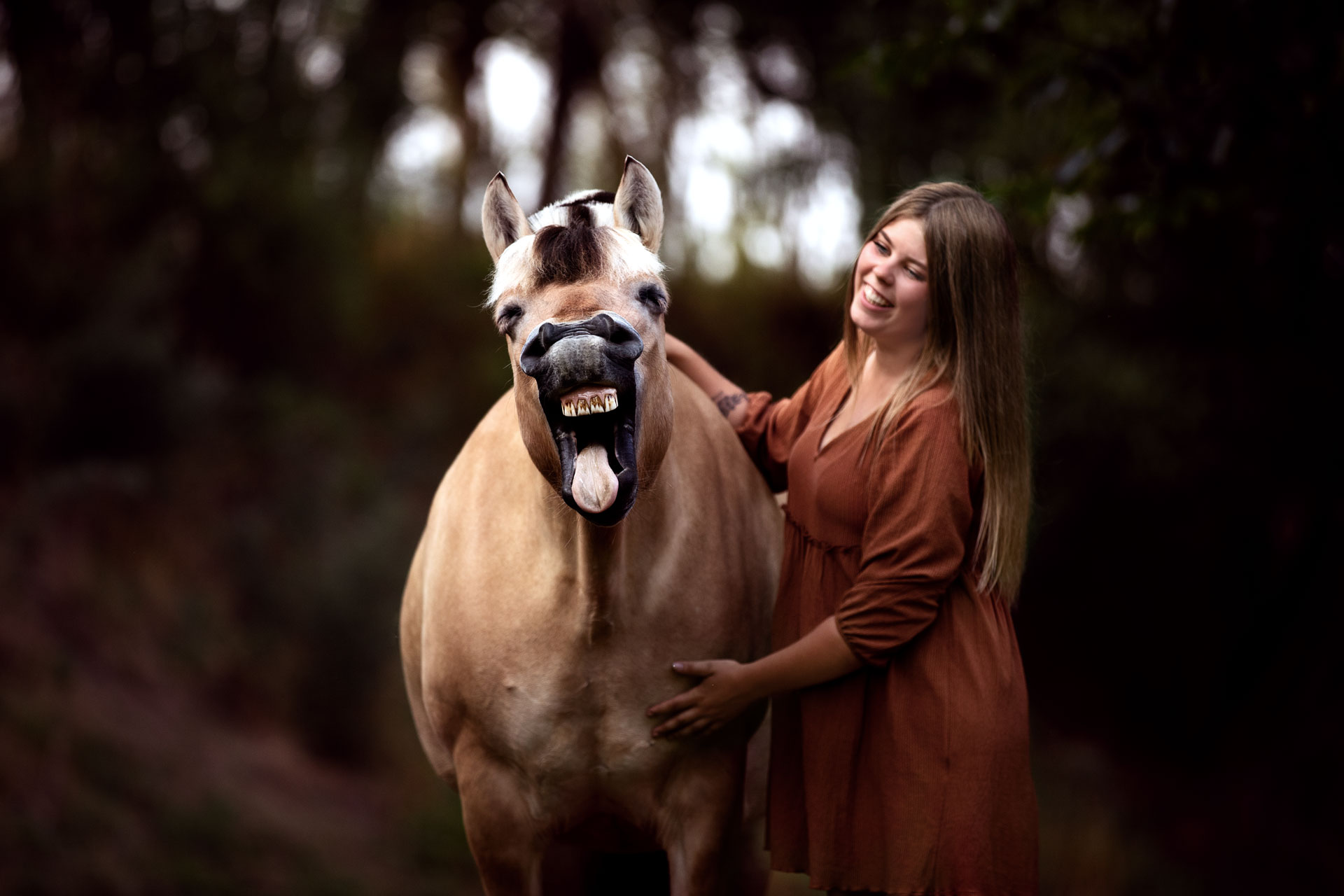 pferdefotos-limburg-weilburg