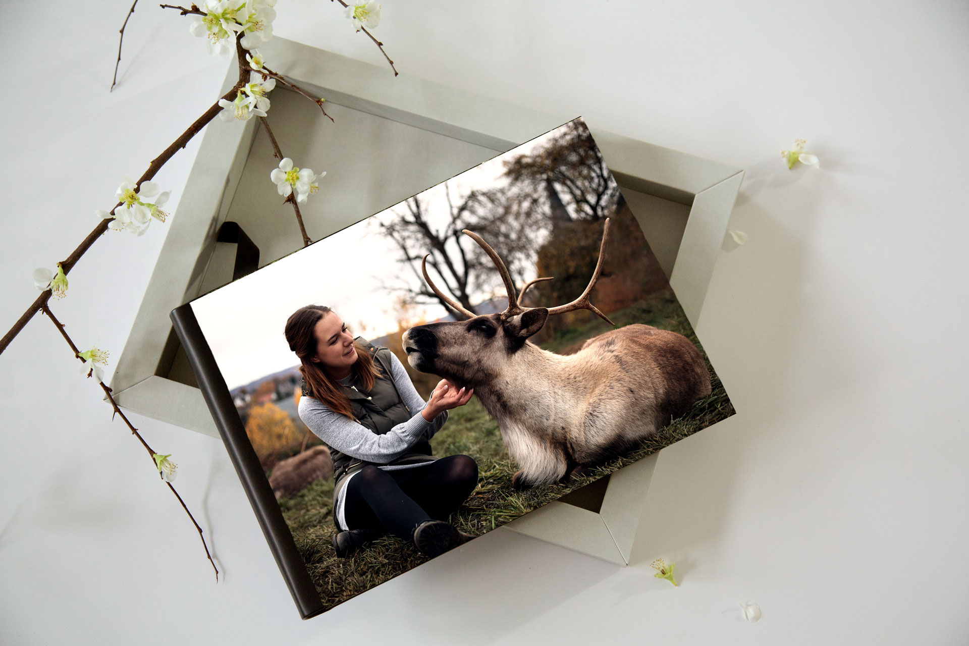 erinnerungsbox-tierfotografie-limburg-weilburg