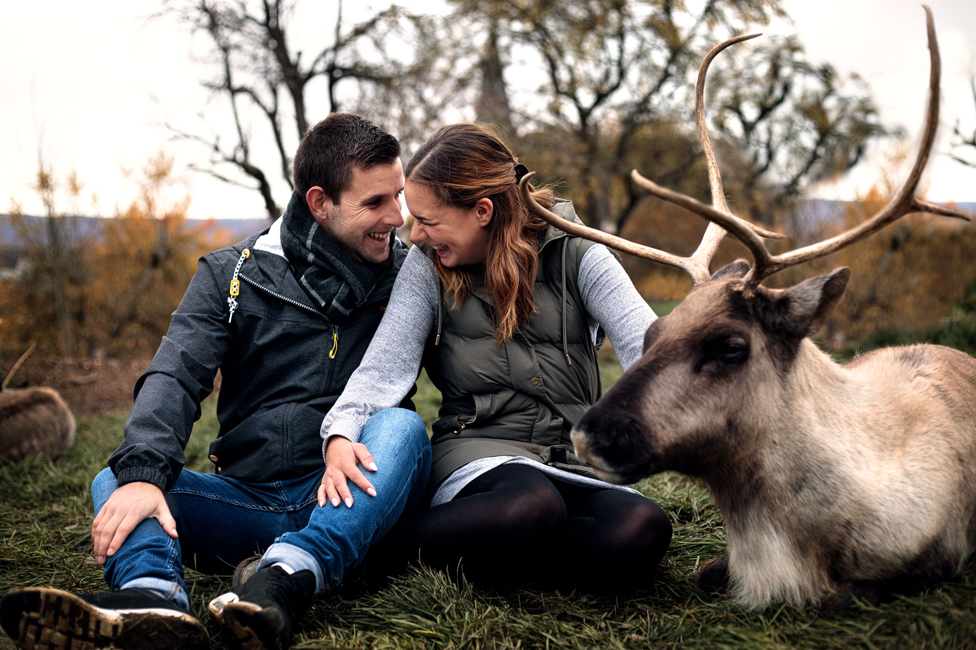 tierfotografie-wiesbaden