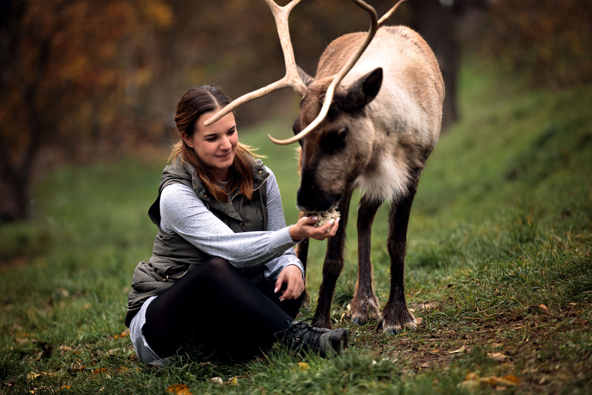 tierfotografie-wiesbaden