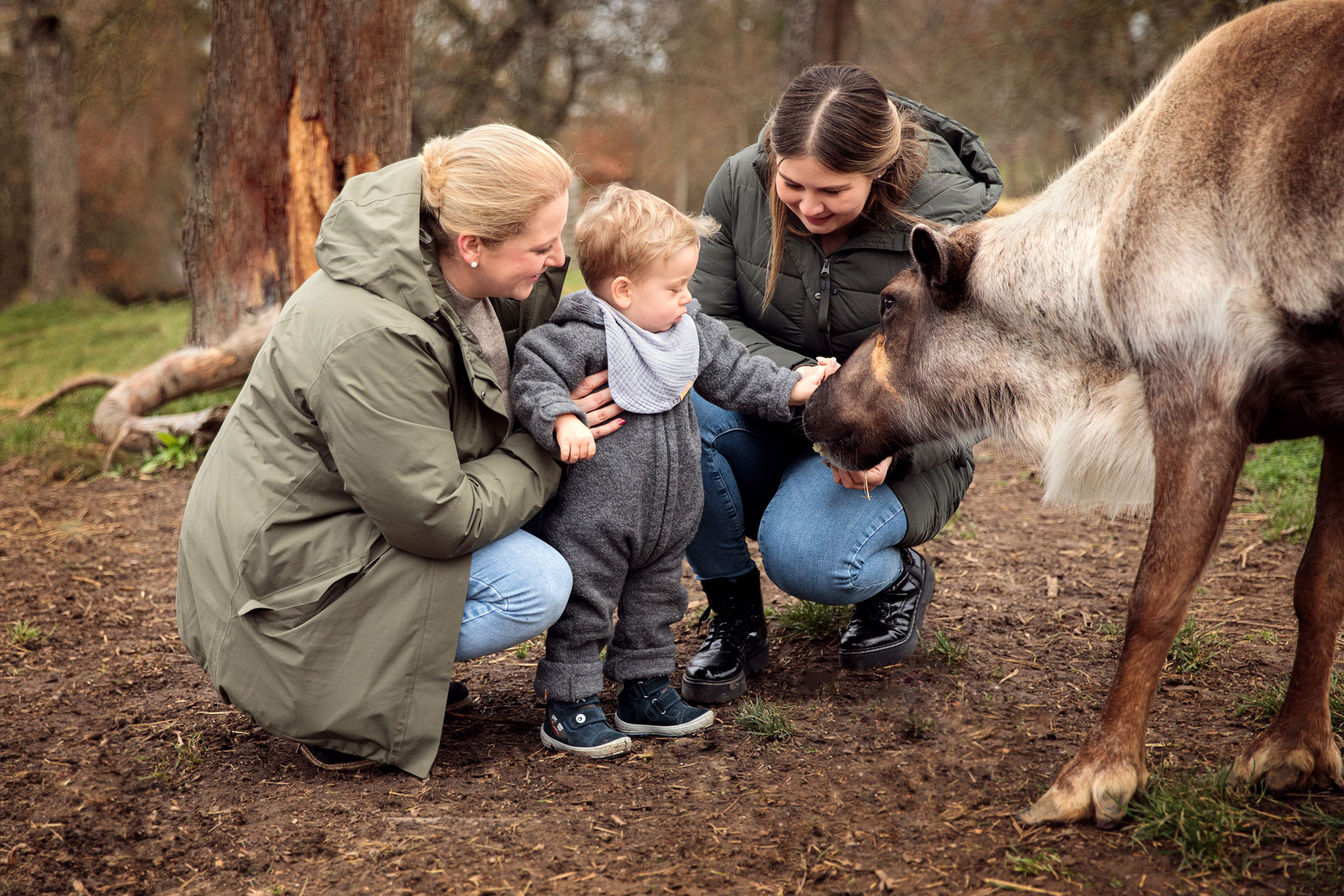 familienshooting-mit-rentieren-limburg familienshooting-mit-rentieren-limburg
