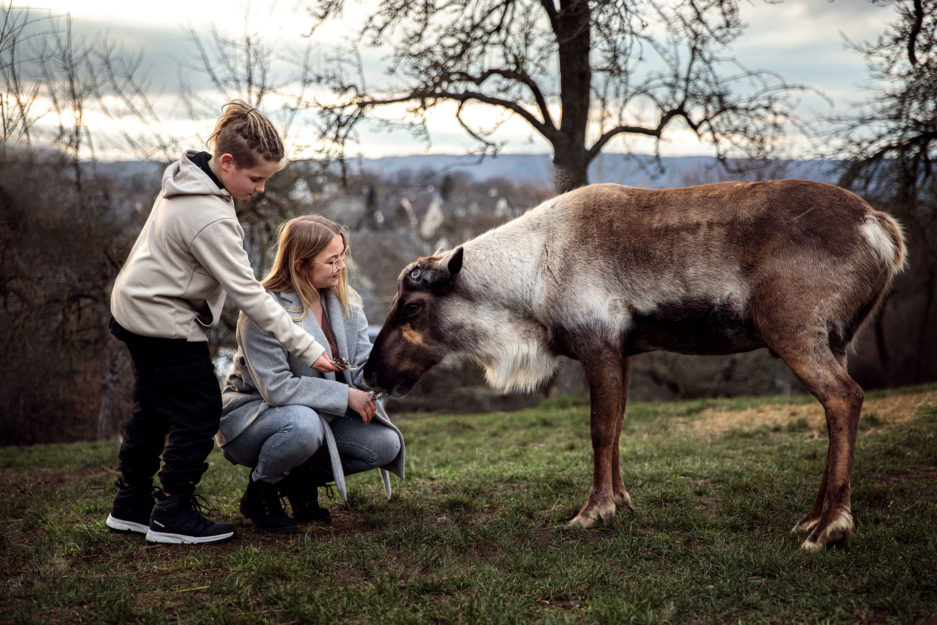 fotoshooting-mit-rentieren-limburg