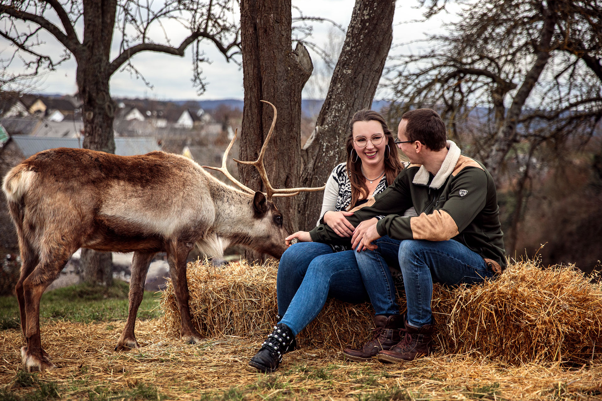 fotoshooting-mit-rentieren-wiesbaden