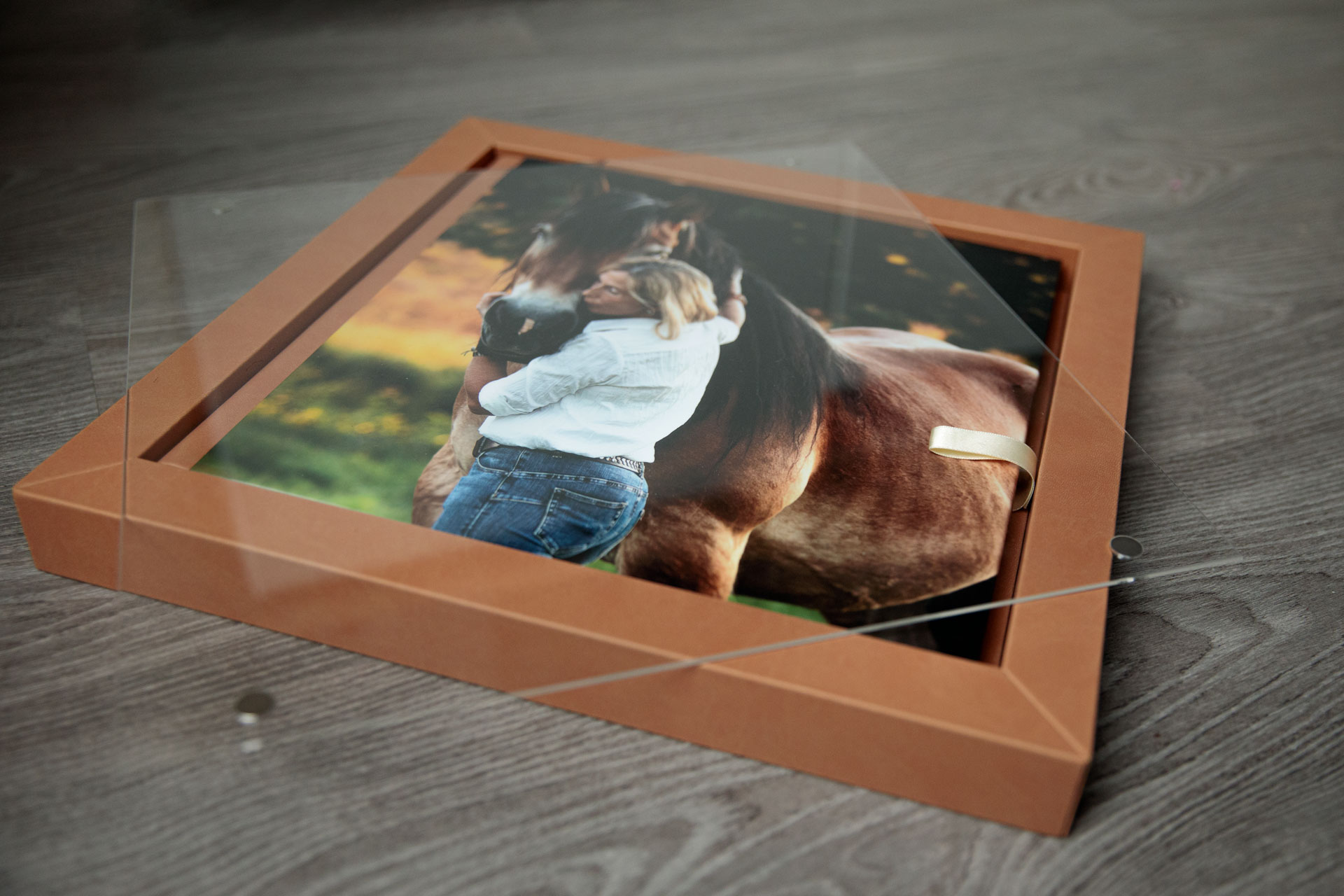 pferdefotoalbum-diez