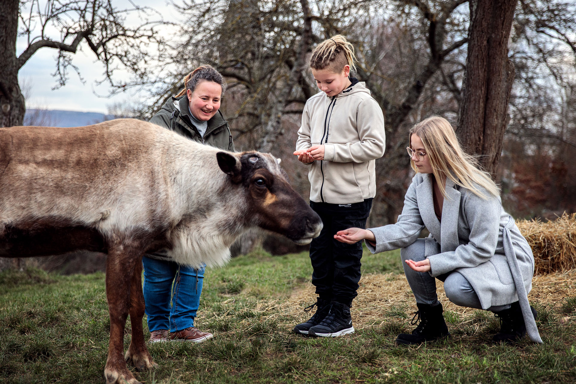 shooting-mit-rentieren-bad-camberg