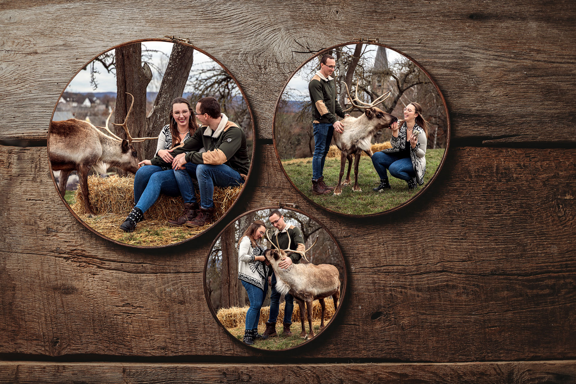 shooting-mit-rentieren-limburg shooting-mit-rentieren-limburg