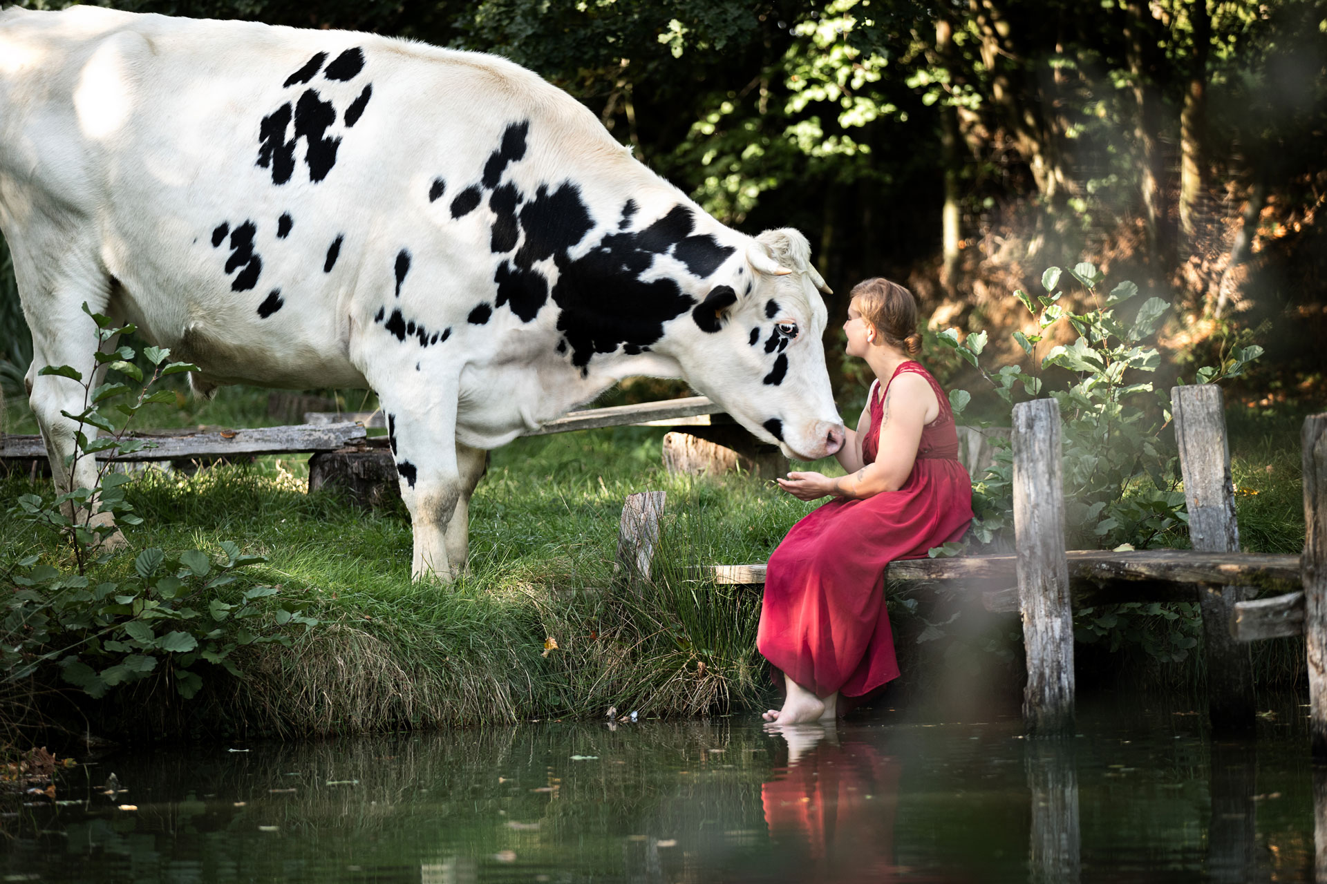 emotionale-tierfotos-limburg