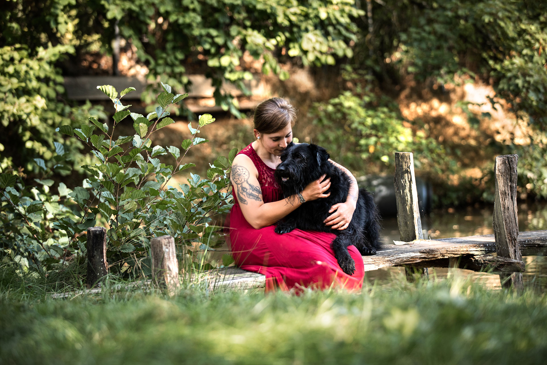 fotos-von-meinem-hund-wiesbaden