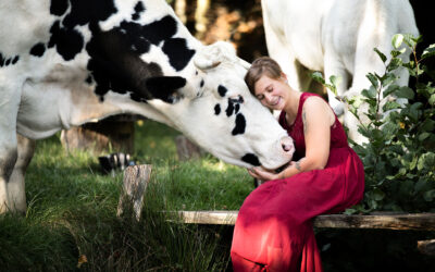Fotoshooting mit Kuh bei Idstein