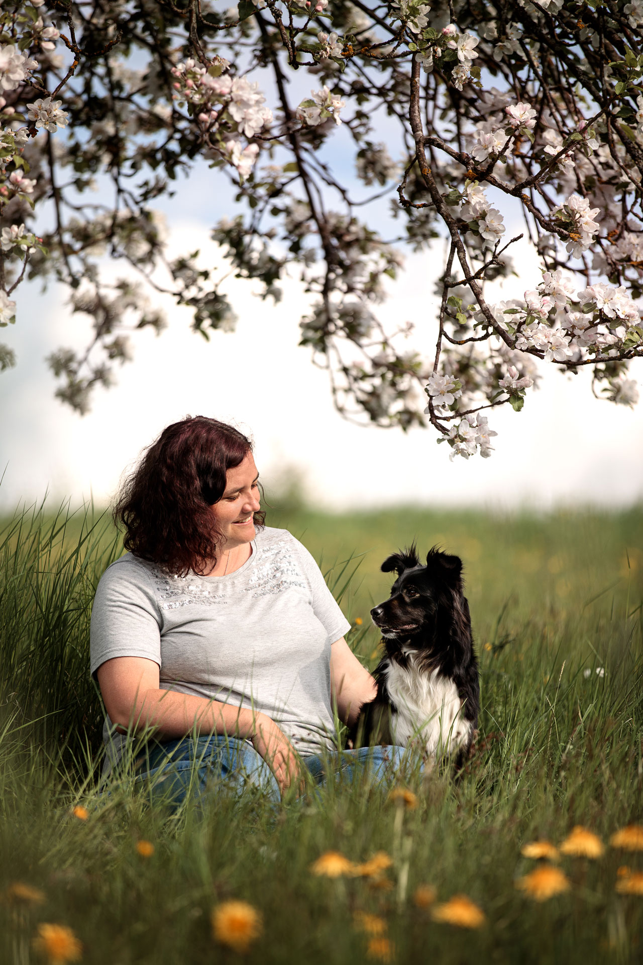 fotoshooting-mit-hund-cochem fotoshooting-mit-hund-cochem