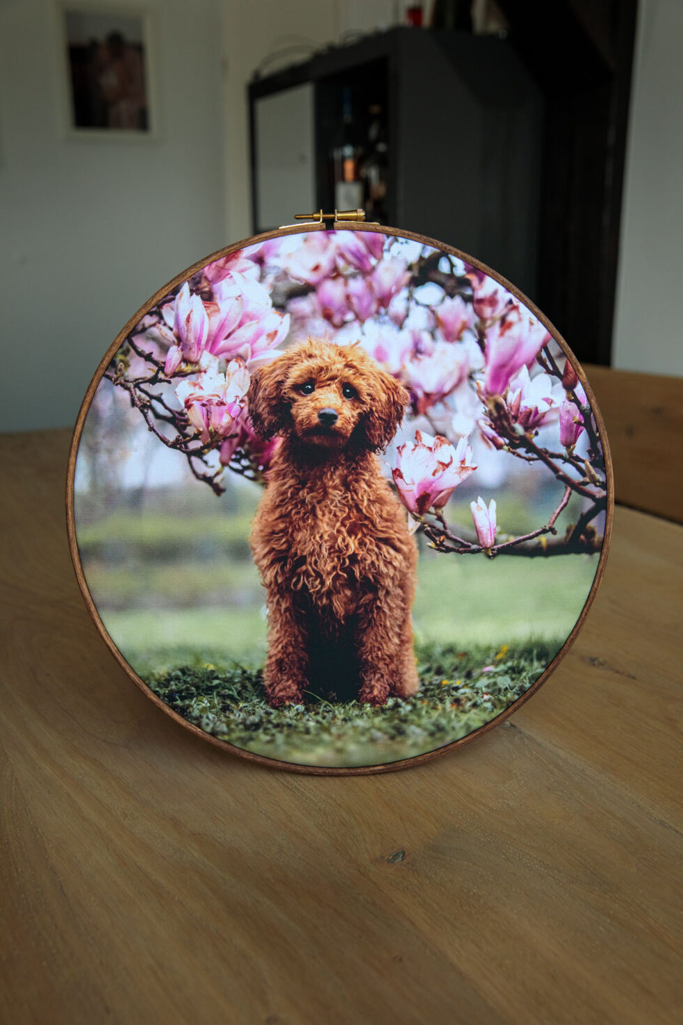 Hund-fotoshootig-wandbild