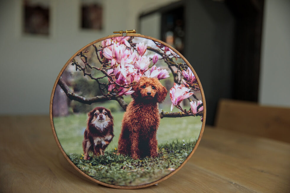 leinwand-rund-hundeshooting