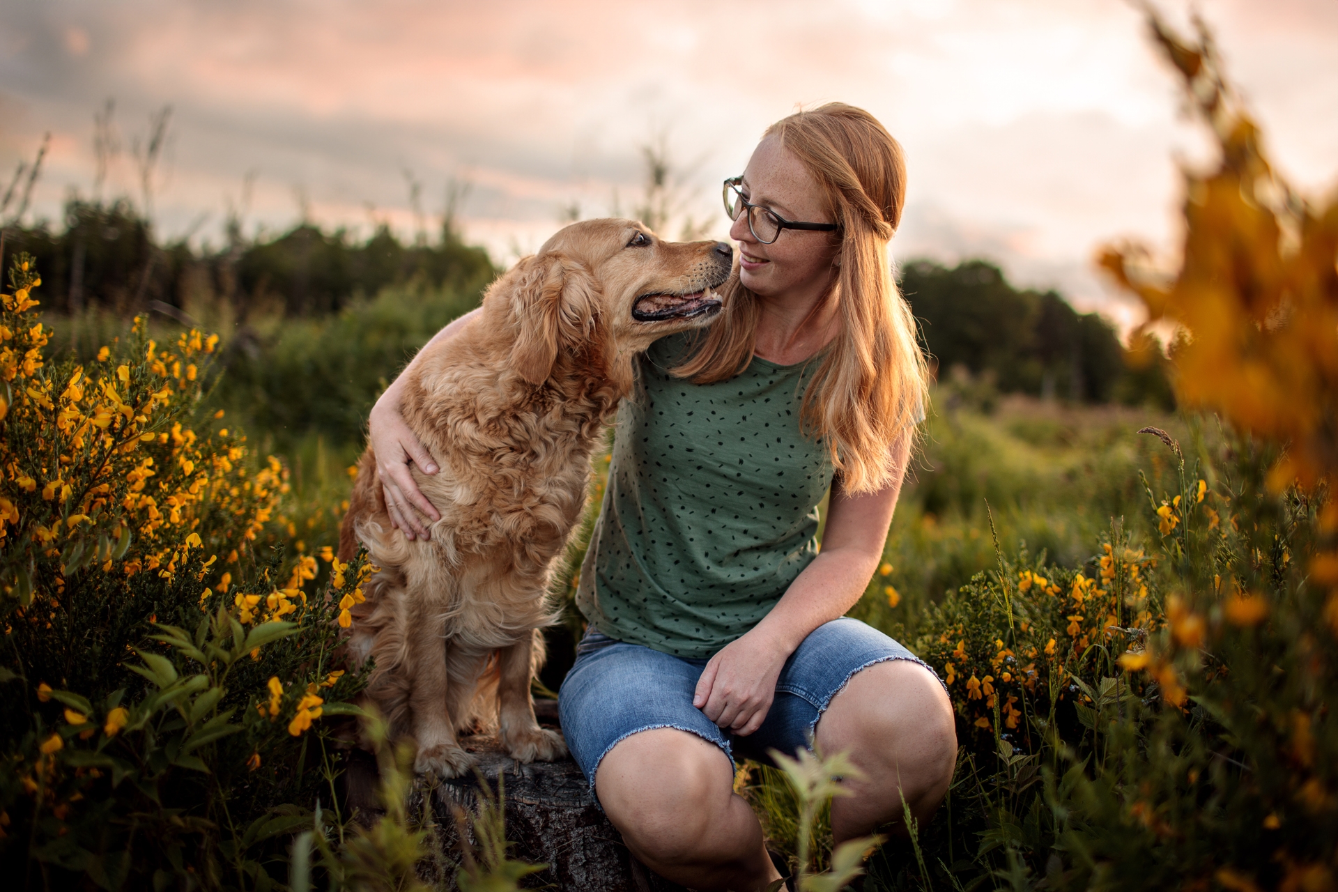hund-fotoshooting