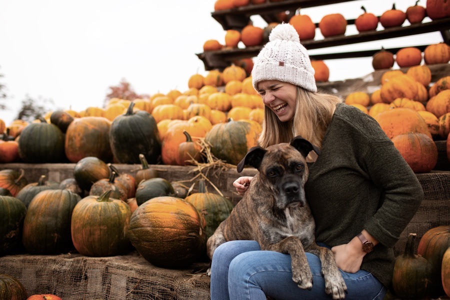 fotos-mit-meinem-hund-idstein