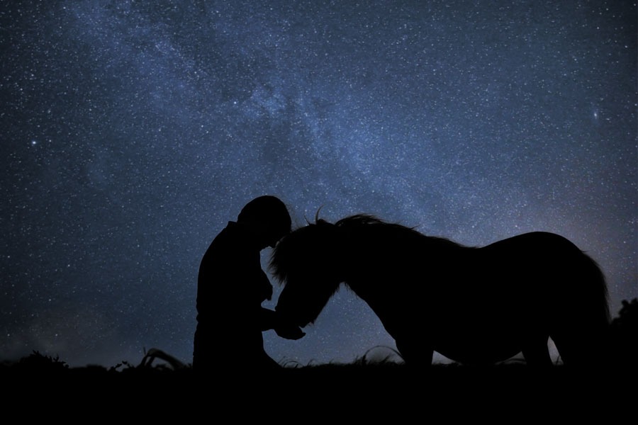 Silhouetten-fotoshooting-mit-pferd-2
