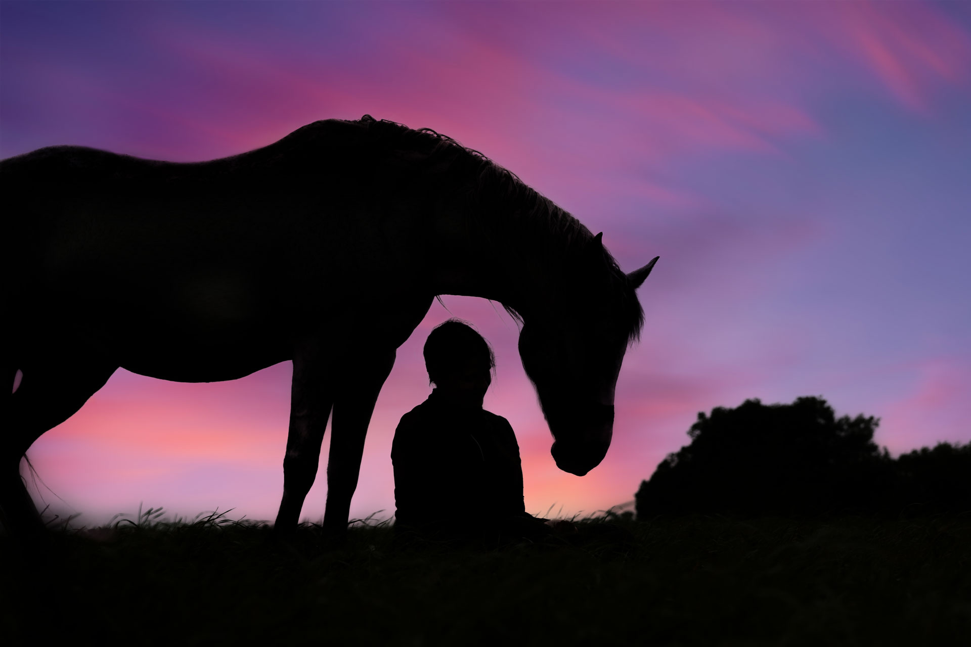 pferdefotoshooting-silhouette-4