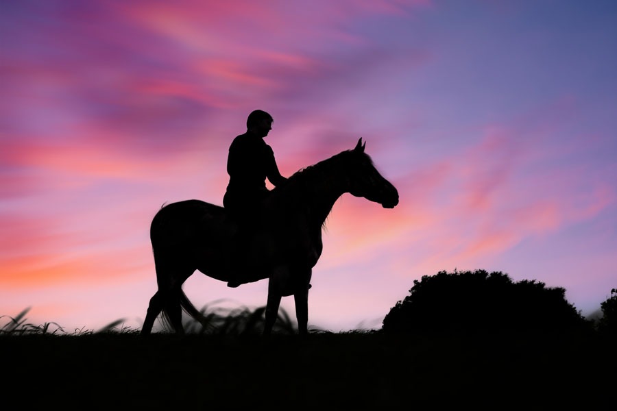 schattenbilder-pferd-mensch-1