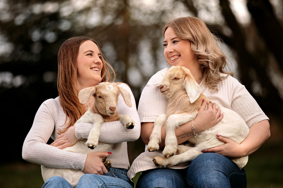ziegenfotoshooting-hünfelden-ziegenlämmer
