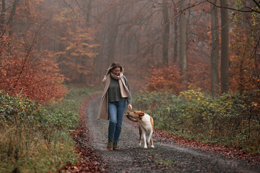 herbstliches-fotoshooting-mit-hund