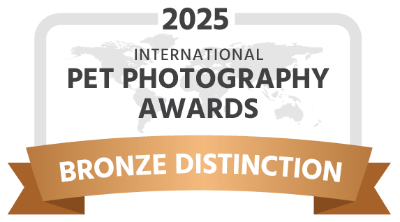 IPPA-2025-award-bronze-distinction-dark