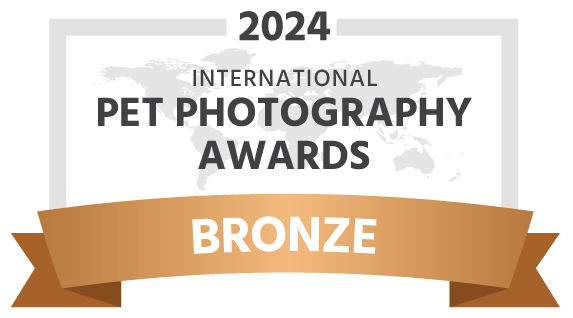 award-bronze-dark