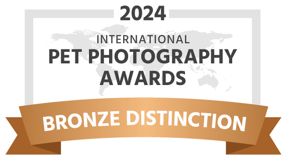 award-bronze-distinction-dark