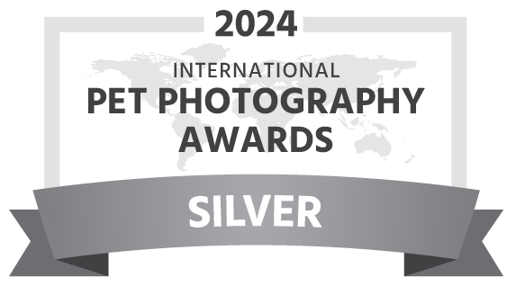 award-silver-dark