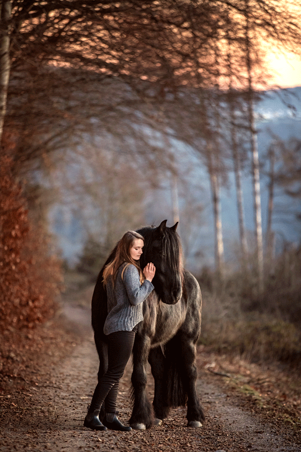sonnenafngangsshooting-pferd-winter