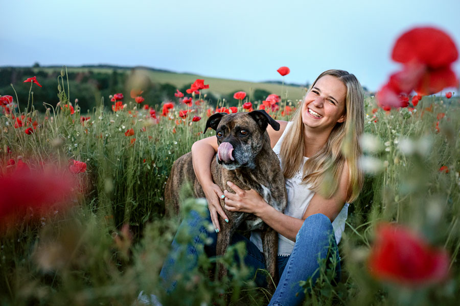 fotoshooting-mit-hund-im-mohn