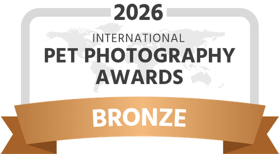 IPPA-2025-award-bronze-dark