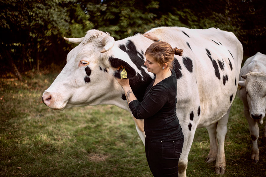 Tierfotoshooting-kuh-idstein