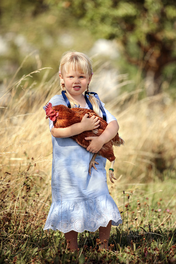 fotoshooting-mit-huhn