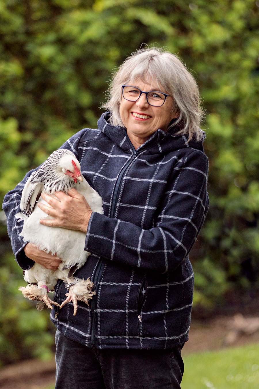 fotoshooting-mit-tier-huhn